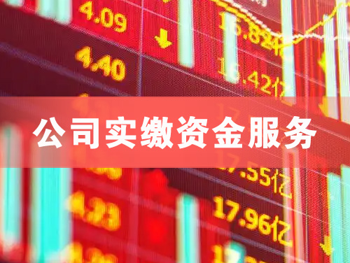 江门公司实缴资金服务